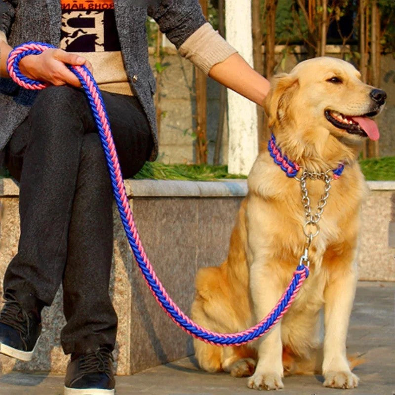 Collars/Leashes/Harnesses