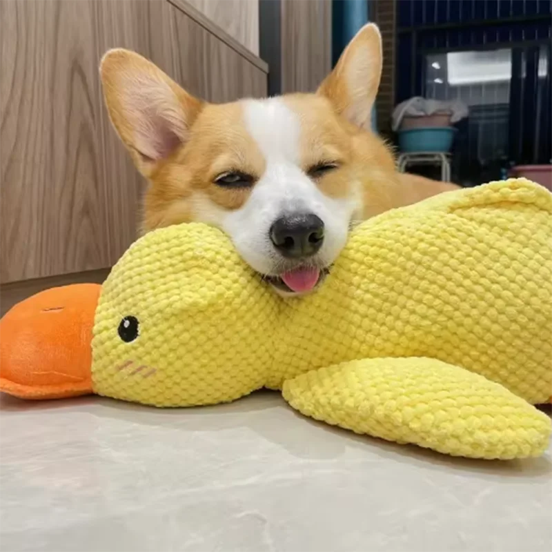 Stomping Duck Dog Toy π¦πΆβ¨