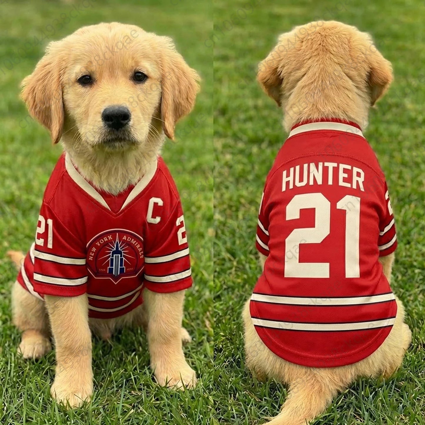 21 Heated Rivalry Dog Hockey Jersey πΆππ
