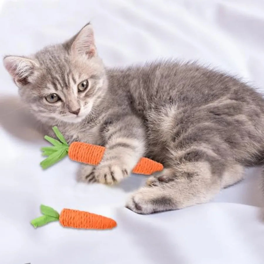 2PCS Cat Chew Toys 1 Small1 Large Carrot Shapes Cat Rope Toys with Sounding Parcels Interactive Cat Toys for Indoor Cats and Ki