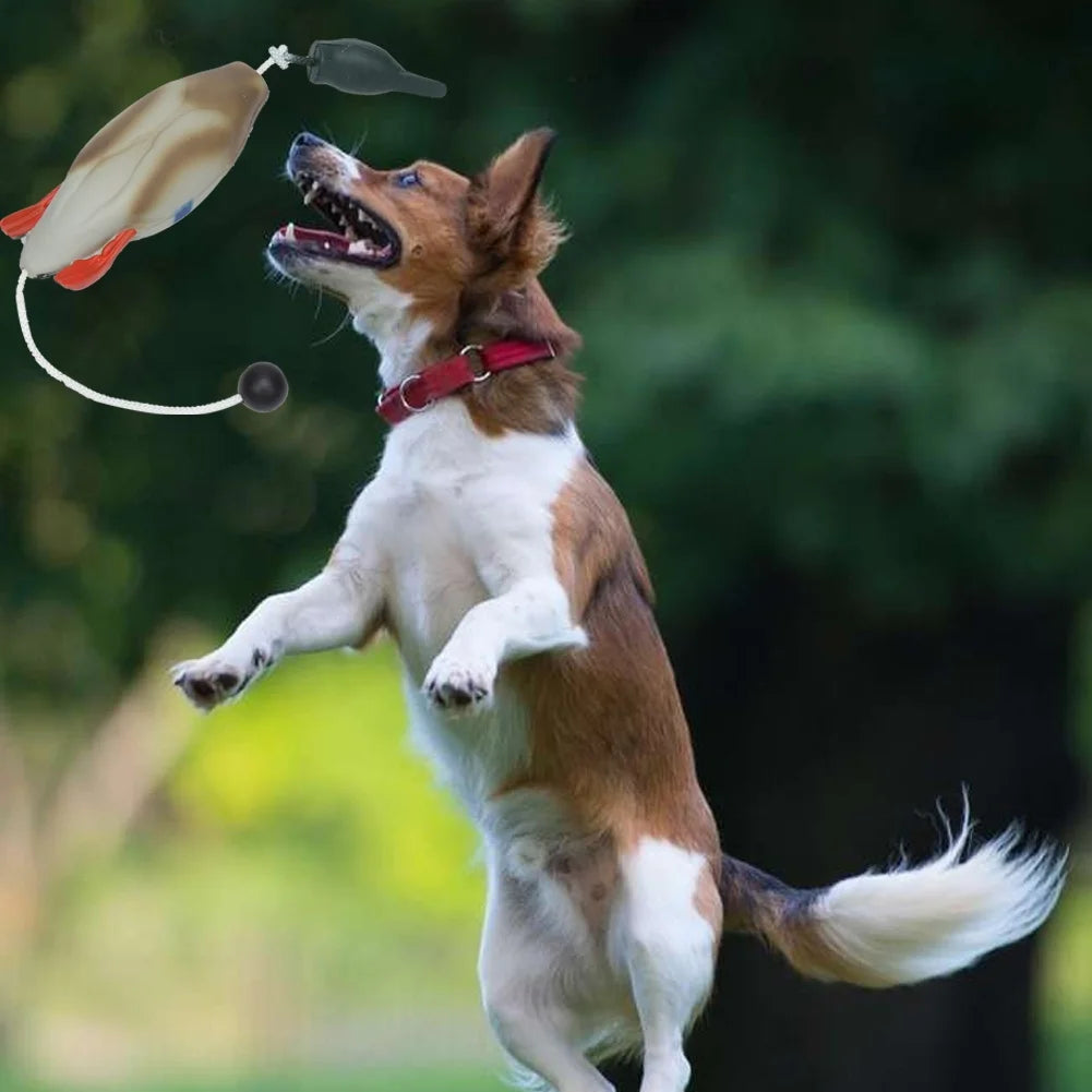 Duck Bumper Toy for Hunting Dogs, Mallard Bird Dummy for Waterfowl Retrieval Training