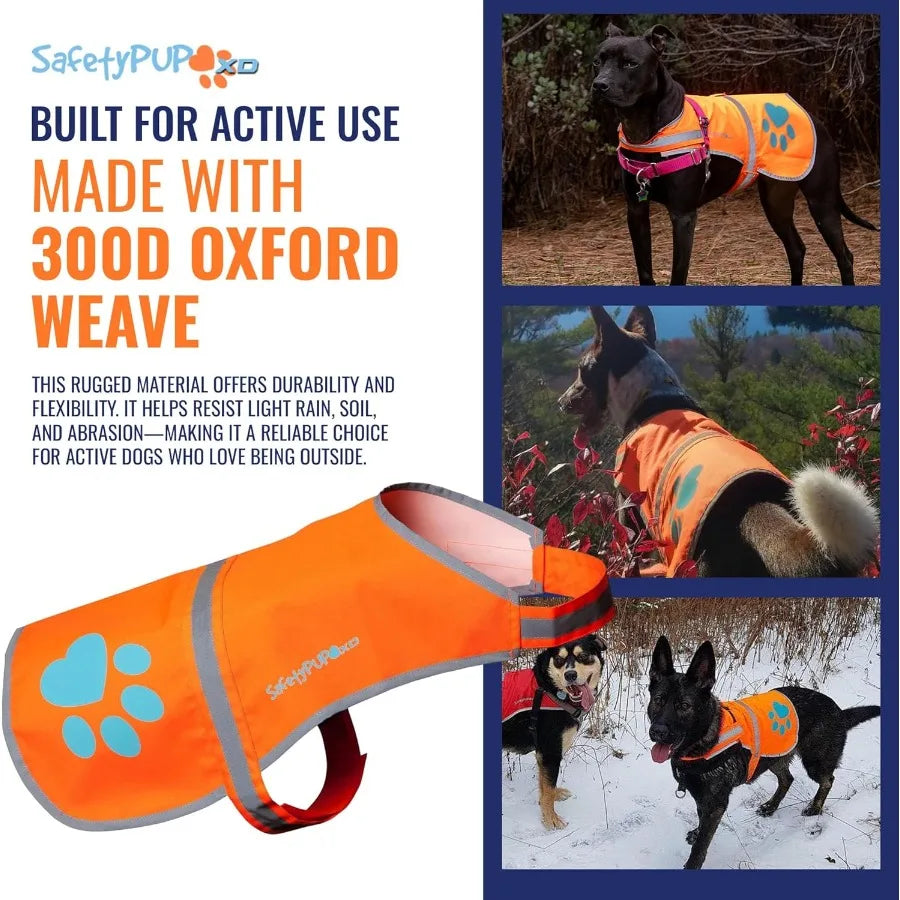 Reflective Dog Vest for Enhanced Safety: HiVisibility Fluorescent Blaze Orange Design Provides Maximum Visibility in Low Light