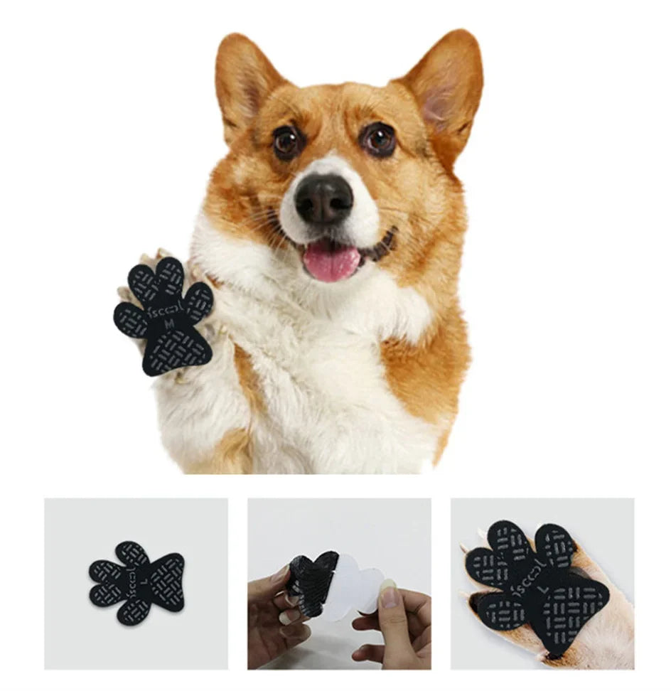 Foot Protection