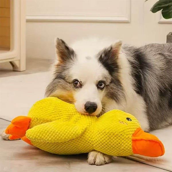 Happy Tails Toys.