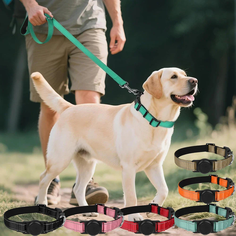 Collars/Leashes/Harnesses