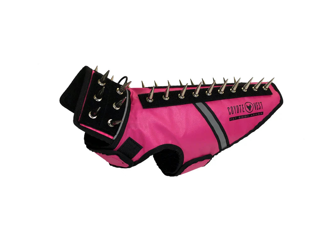 Body Armor