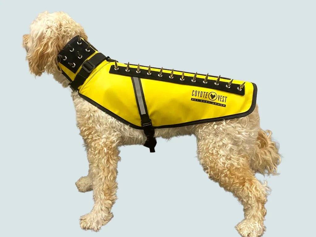 Pet Protection