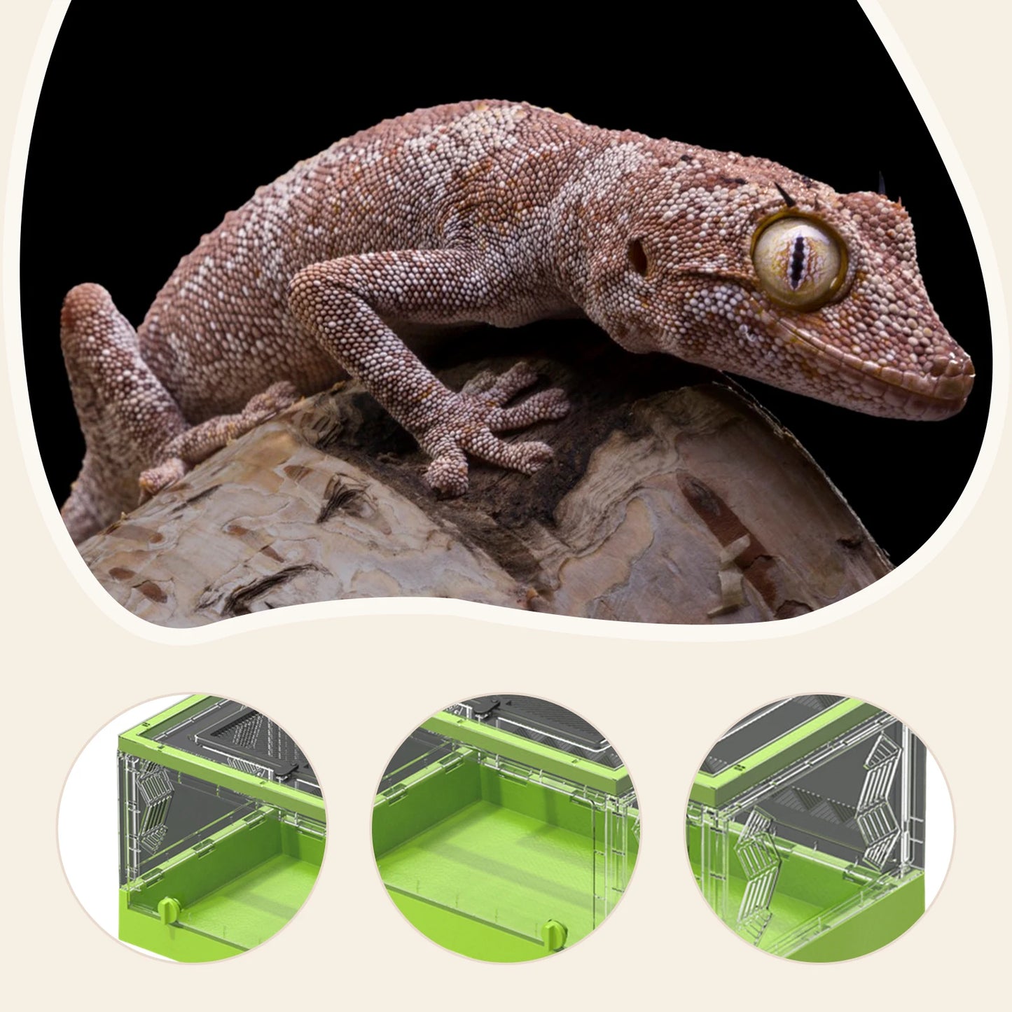 Clear Folding Reptile Tank Lizards Habitat Lightweight Desktop Pet Enclosure Front Door Habitat for Geckos Lizards Turtles