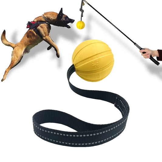 Dog Toy Balls On a Rope for Small Medium Large Dogs Chewers,  EVA Foam Ball Floats