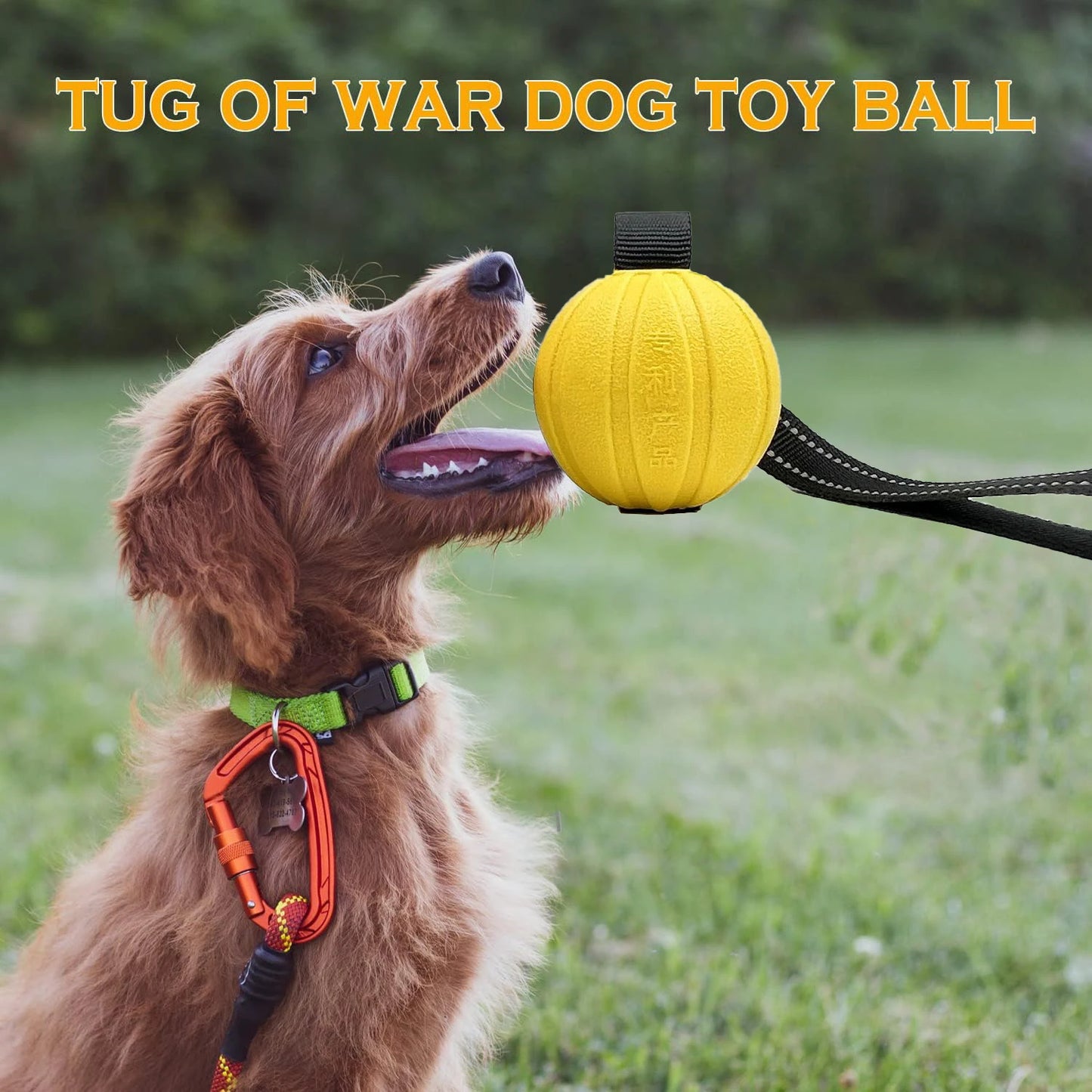 Dog Toy Balls On a Rope for Small Medium Large Dogs Chewers,  EVA Foam Ball Floats