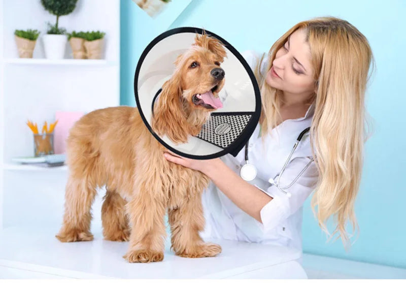 Postoperative Pet Grooming Cover Cat Accessories for Cats Wound Healing Cone Dog Collar Gato Kedi Protector Mascotas Supplies