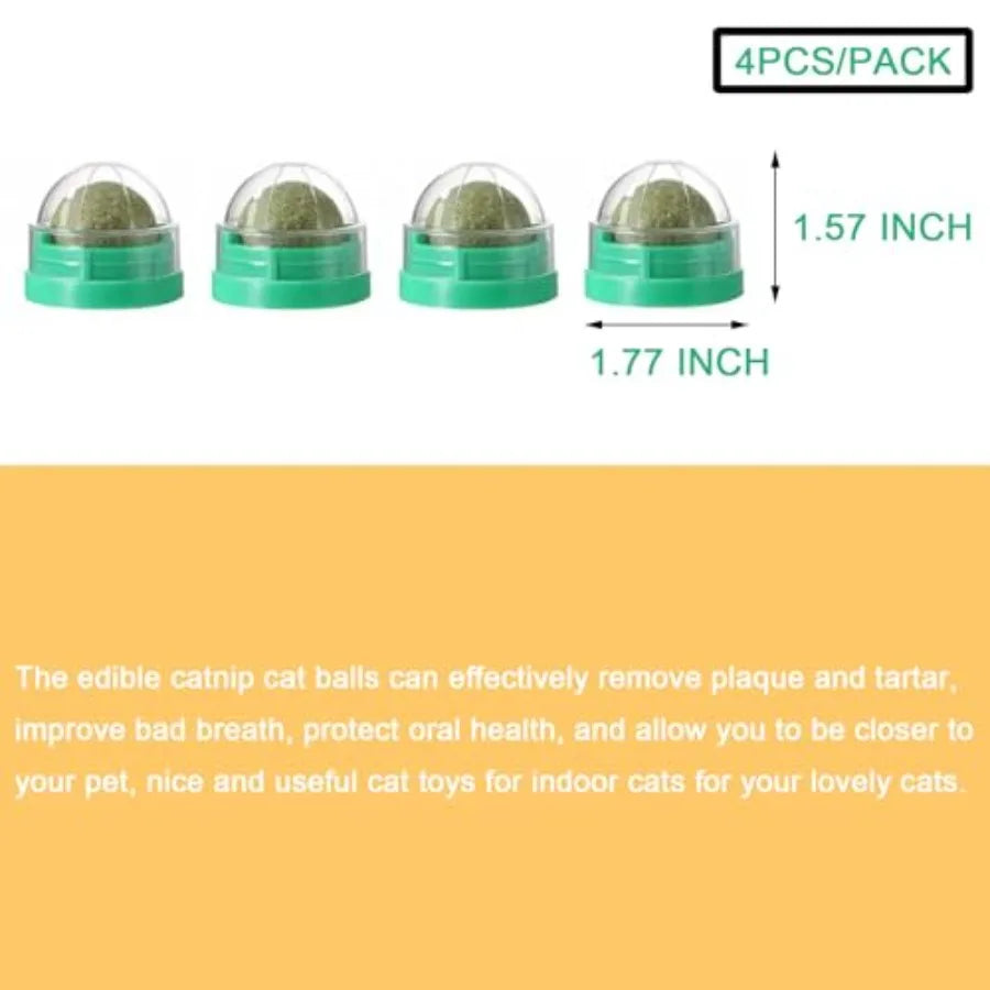 4PCS Catnip for Cats Wall Catnip Toys Teeth Cleaning Dental Edible Cat Toys