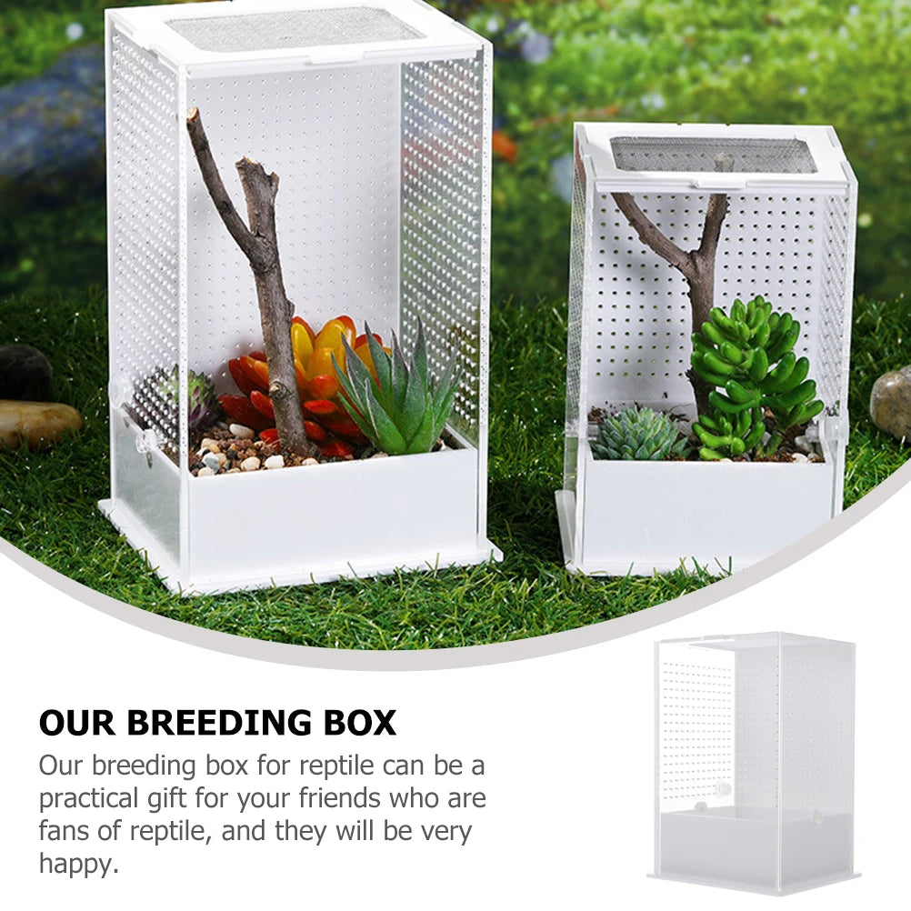 Praying Mantis Breeding Box Acrylic Clear Terrarium Cage For Spiders Geckos Reptile Habitat Breeding Box Plant Landscape Villa