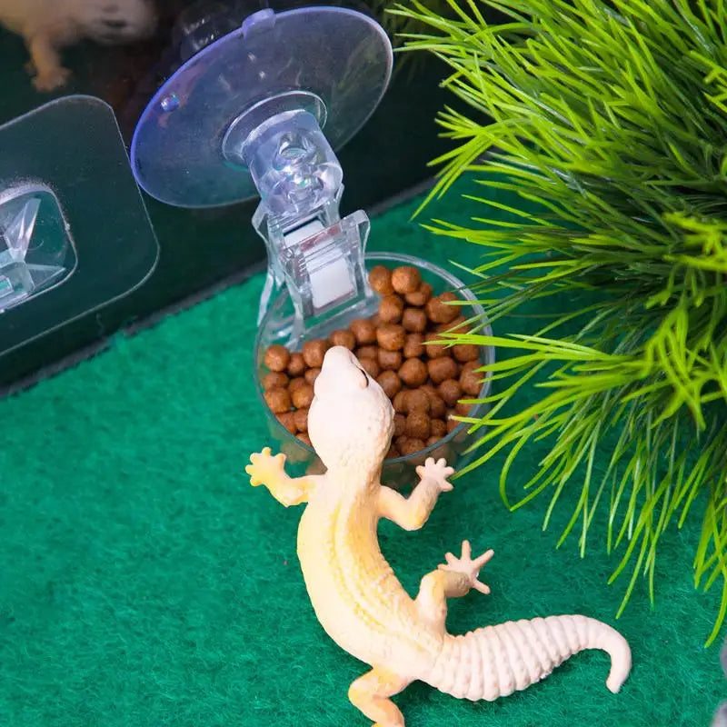 【E】Reptile Water Food Bowl Suction Cup Food Tray Gecko Reptile Lizards Spider Tree Frogs Feeder Habitat Decoration Pet Supplies