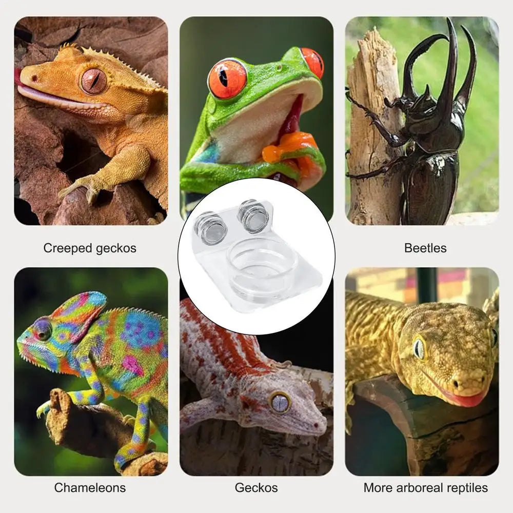 Magnetic Reptile Feeding Ledge Suction Cup Food Tray Gecko Reptile Feeding Station for Lizards Chameleons Tree Frog Pet supplies