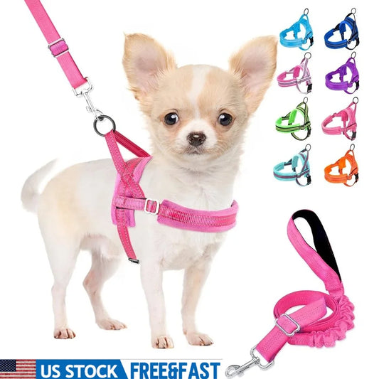 Soft Padded Dog Harness Leash Set Adjustable Reflective Vest Small Dogs Quick Fit Neck Chest Safe Walking 4ft Leash