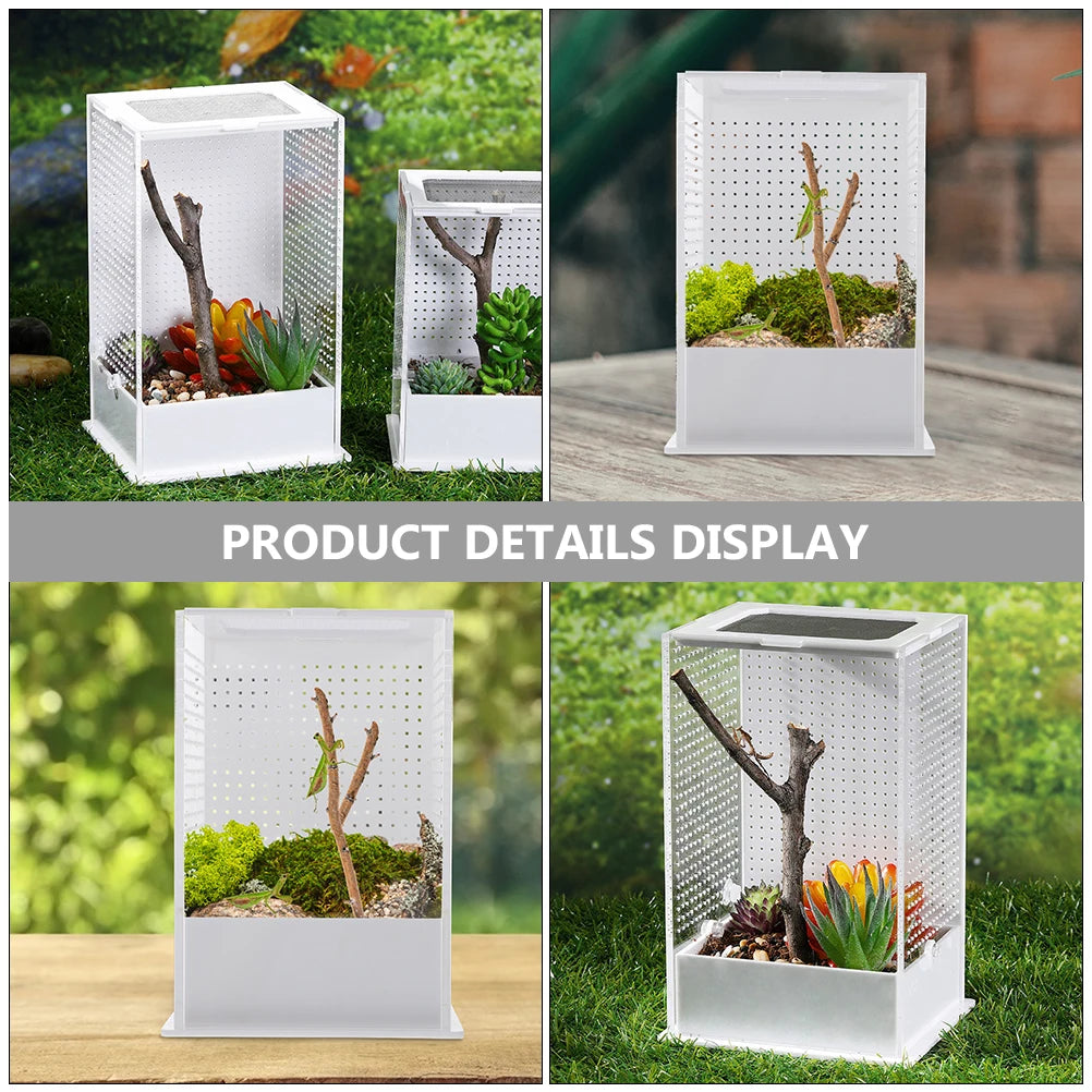Praying Mantis Breeding Box Acrylic Clear Terrarium Cage For Spiders Geckos Reptile Habitat Breeding Box Plant Landscape Villa