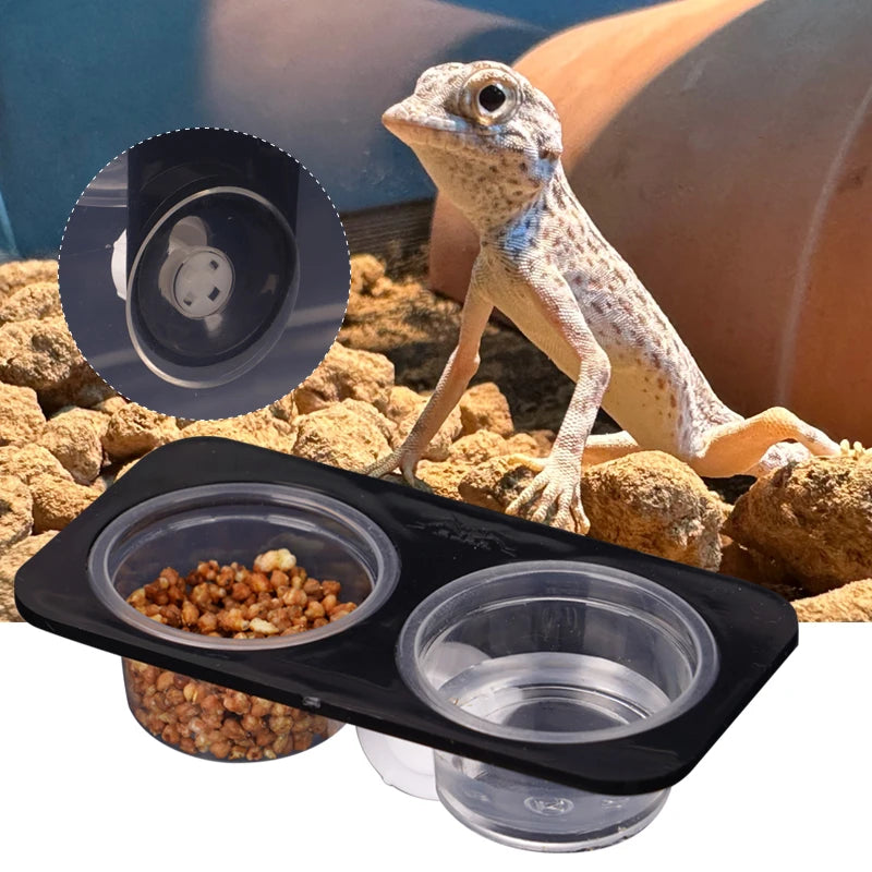 Reptiles & Amphibians Lizard Gecko Suction Cup Feed Bowls Food Container with Bowl for Reptile Food and Water Feeding