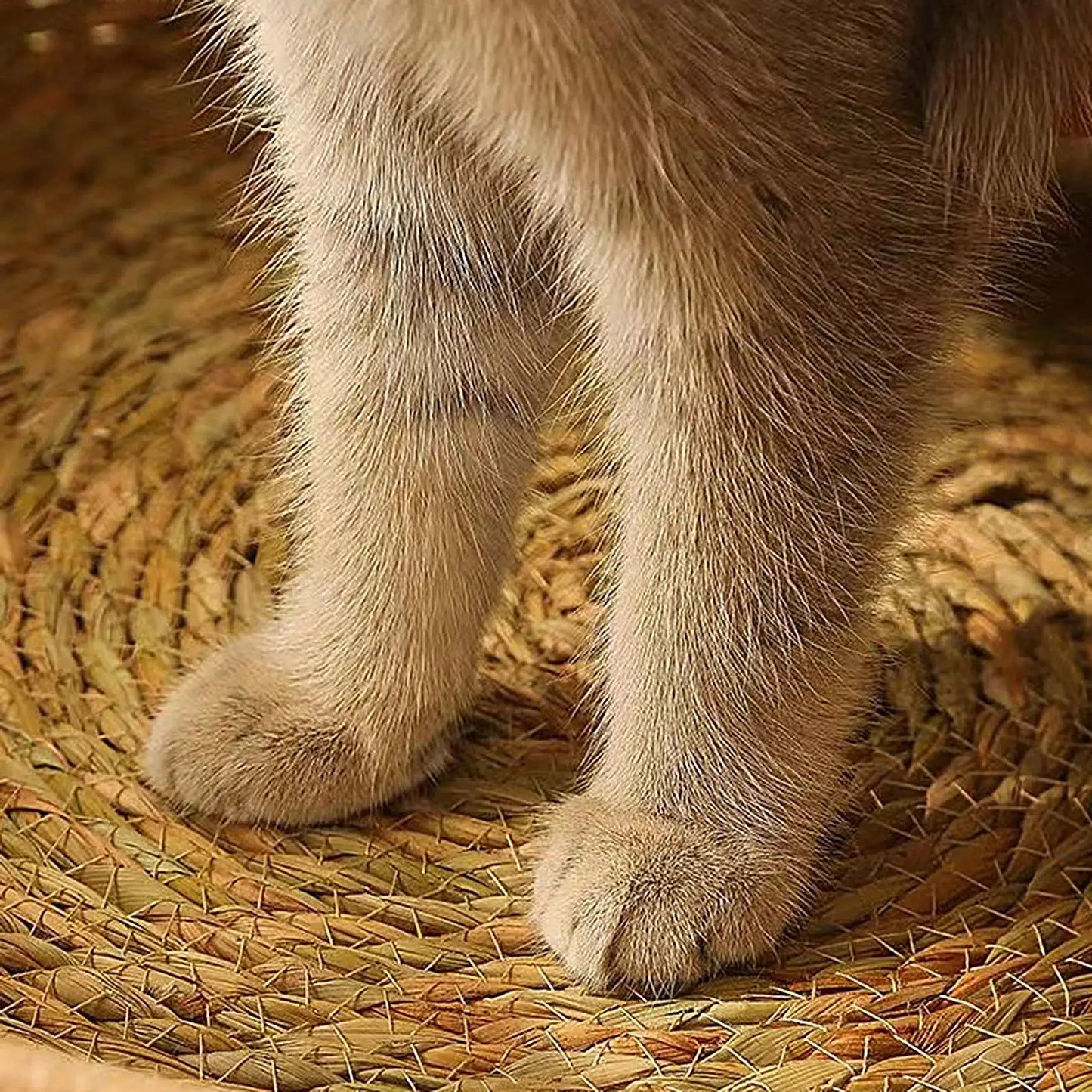 Cat Bed Cotton Rope Woven Cat Bed with Pillow and Cushion All Season Indoor Weaving Pet Resting Scratching Sleeping Furniture
