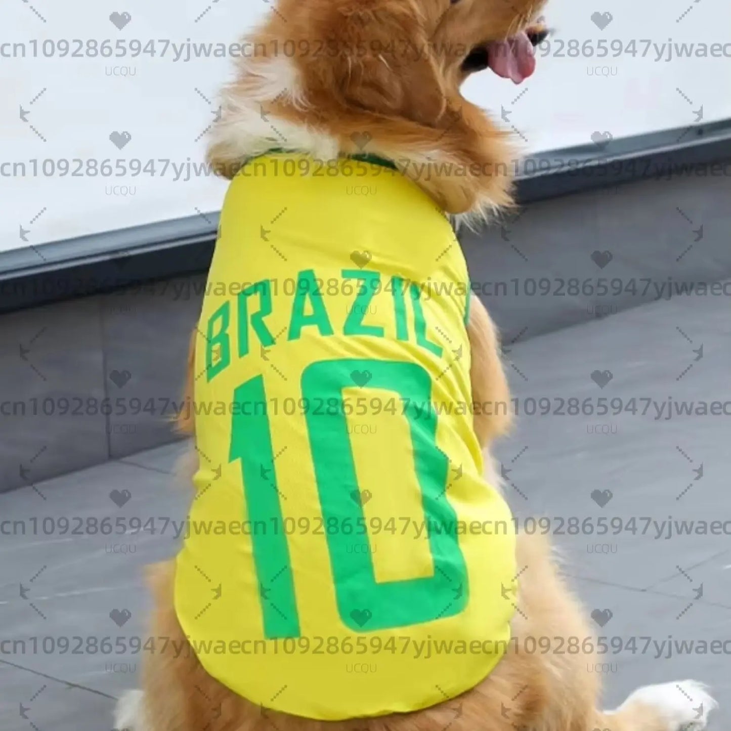 BRASIL NO.10 Pet Football Jersey ⚽🐶👕