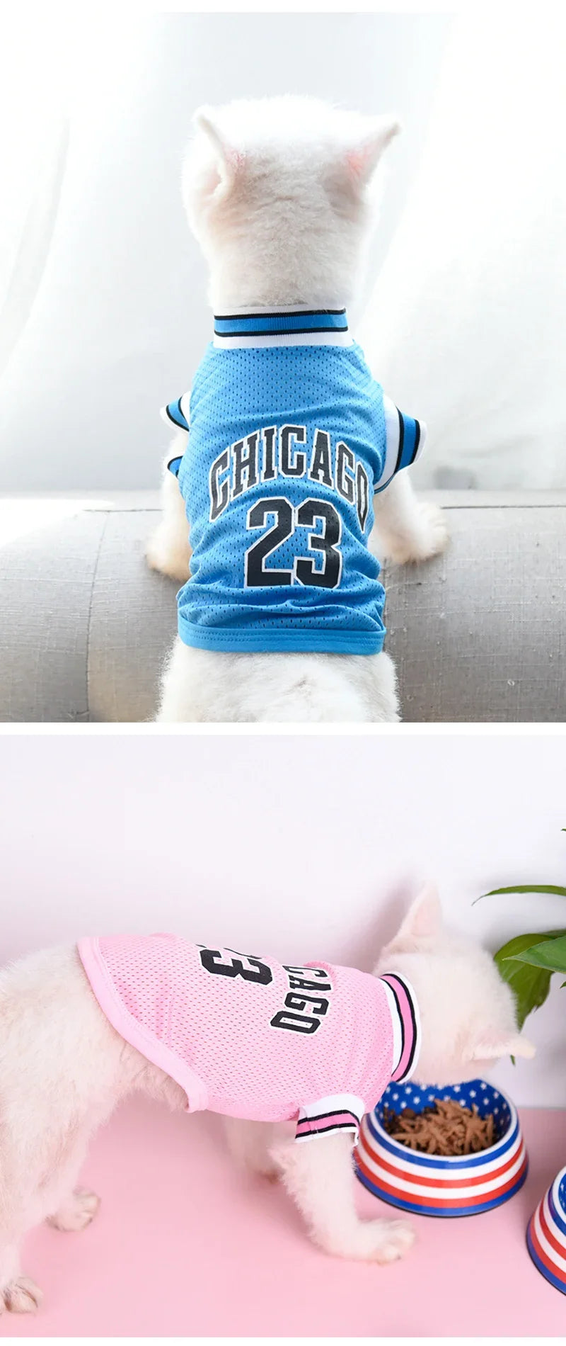 Dog Basketball Jersey 🐶🏀👕✨