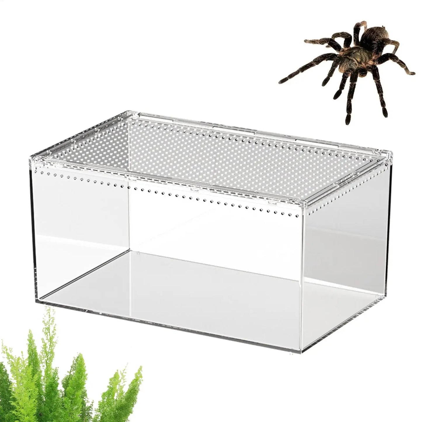 Spider Enclosure Transparent Reptile Terrarium Tank Habitat with Ventilation for Tarantula Gecko Snake Frog Scorpion Lizard