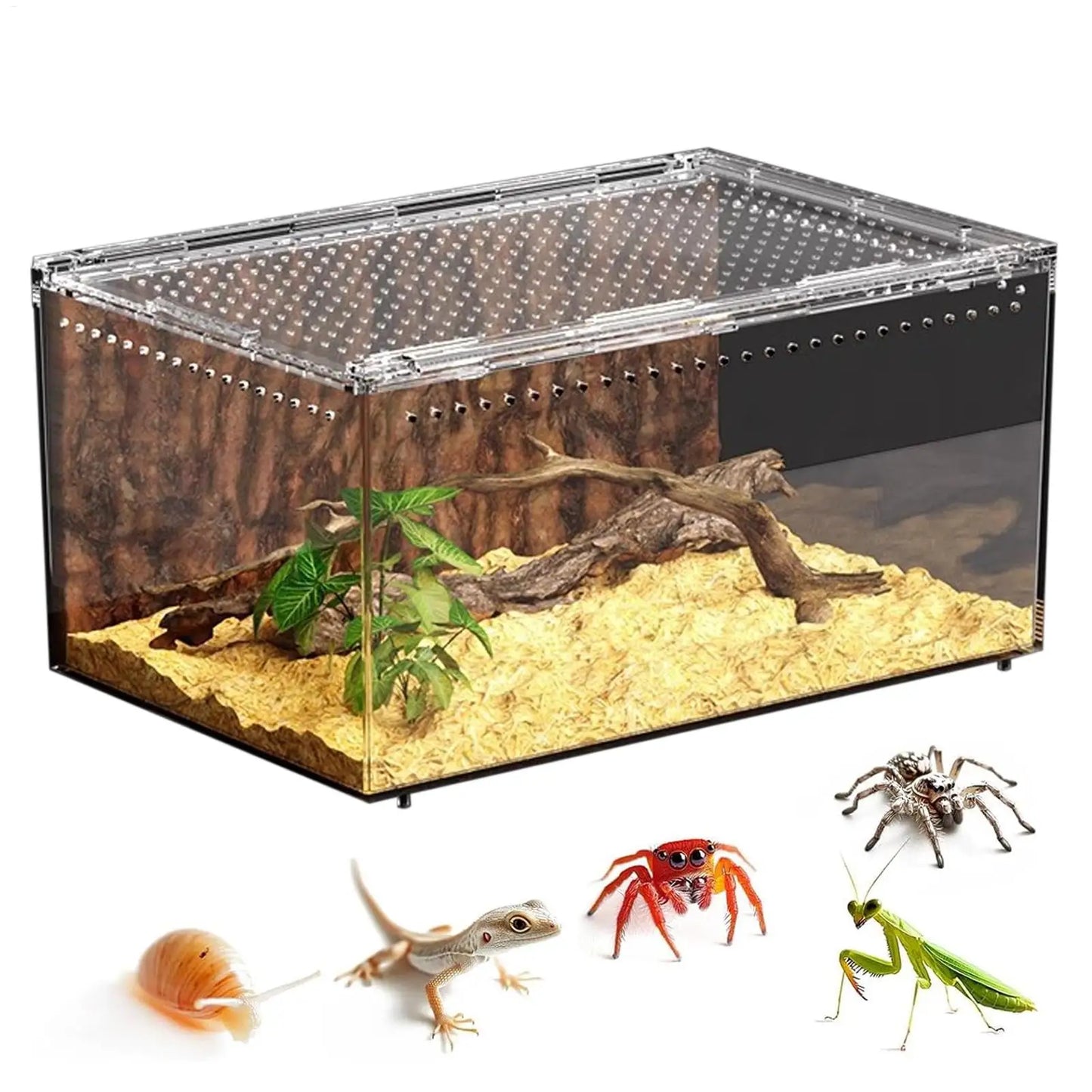 Spider Enclosure Transparent Reptile Terrarium Tank Habitat with Ventilation for Tarantula Gecko Snake Frog Scorpion Lizard