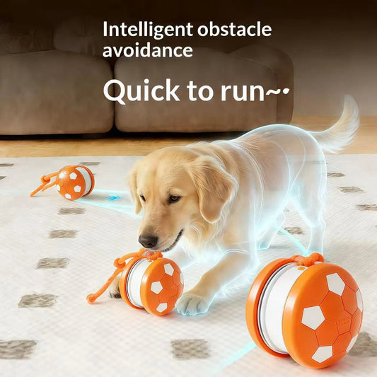 Pet Ball for Dogs Interactive Dog Toys Football Rolling Ball With Motion Activated Automatic Moving Puppy/Small Dogs Dog Toy