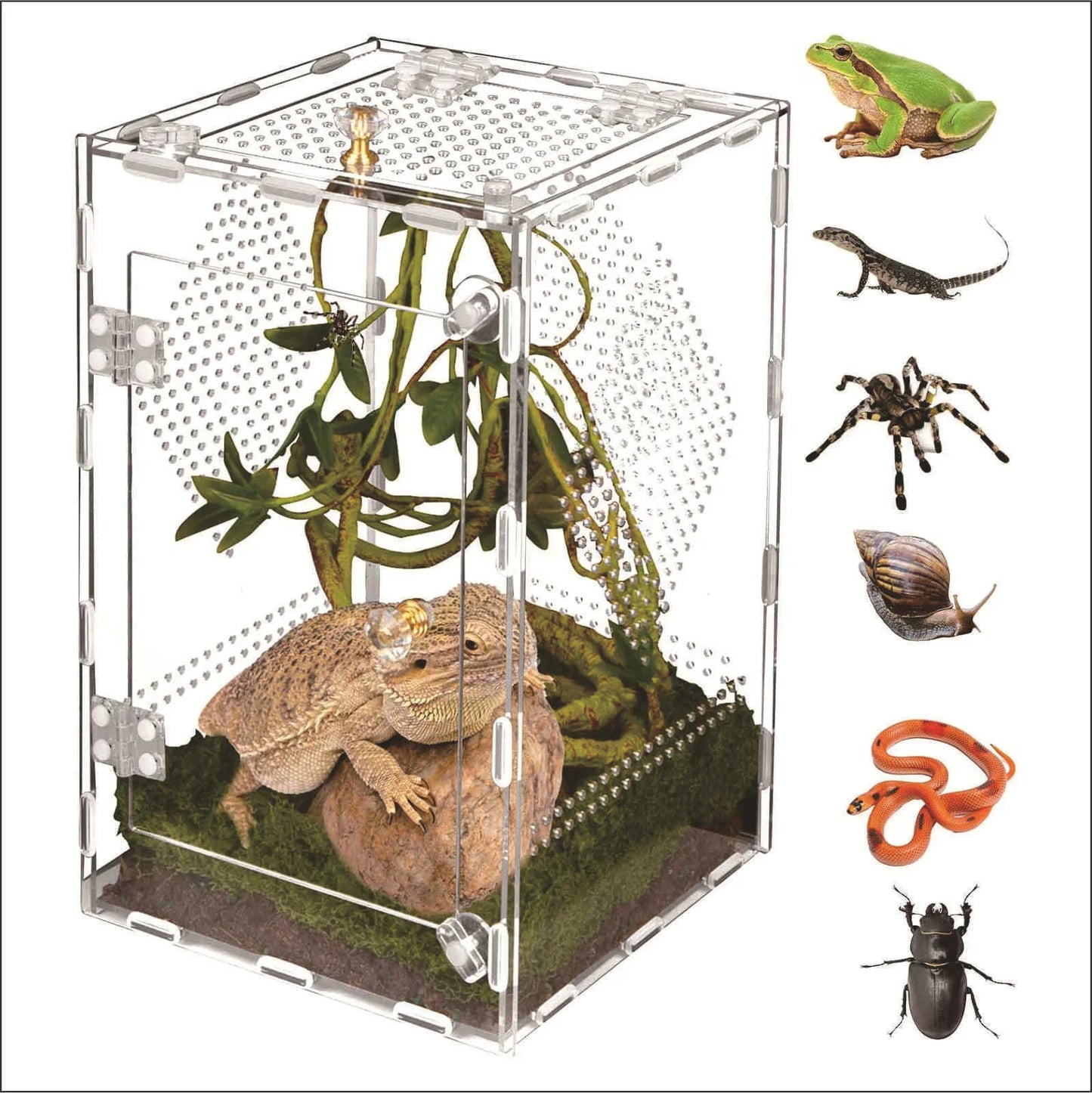 Transparent Acrylic Reptile Breeding Box For Geckos Lizards Snakes And Insects Large Desktop Display Storage For Home Desk Decor