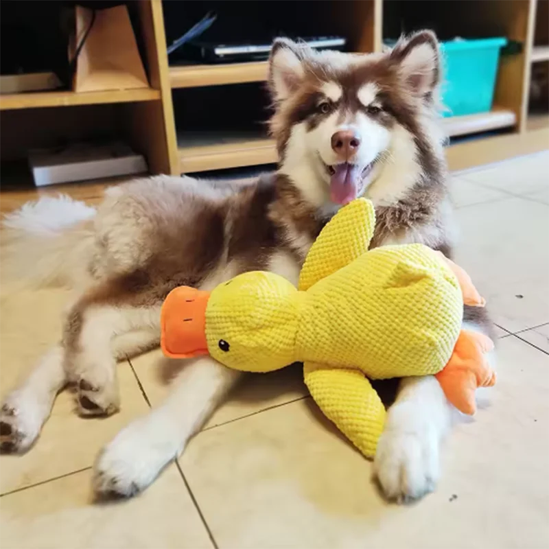 Stomping Duck Dog Toy 🦆🐶✨