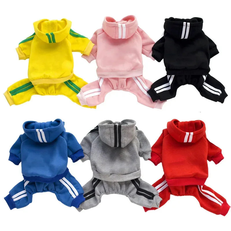 Adidog Dog Sports Jumpsuit 🐕👕✨