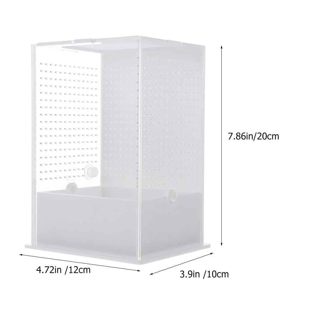 Praying Mantis Breeding Box Acrylic Clear Terrarium Cage For Spiders Geckos Reptile Habitat Breeding Box Plant Landscape Villa
