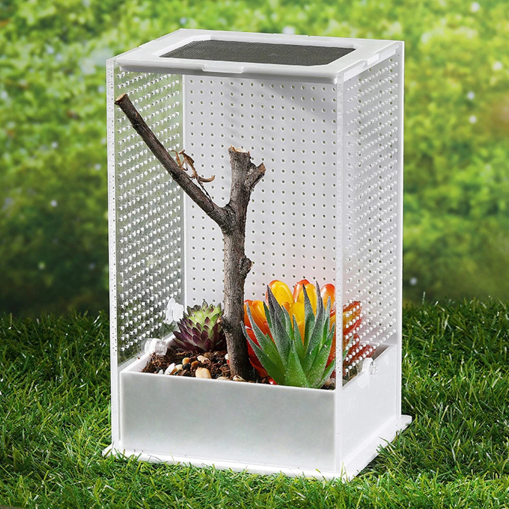 Praying Mantis Breeding Box Acrylic Clear Terrarium Cage For Spiders Geckos Reptile Habitat Breeding Box Plant Landscape Villa