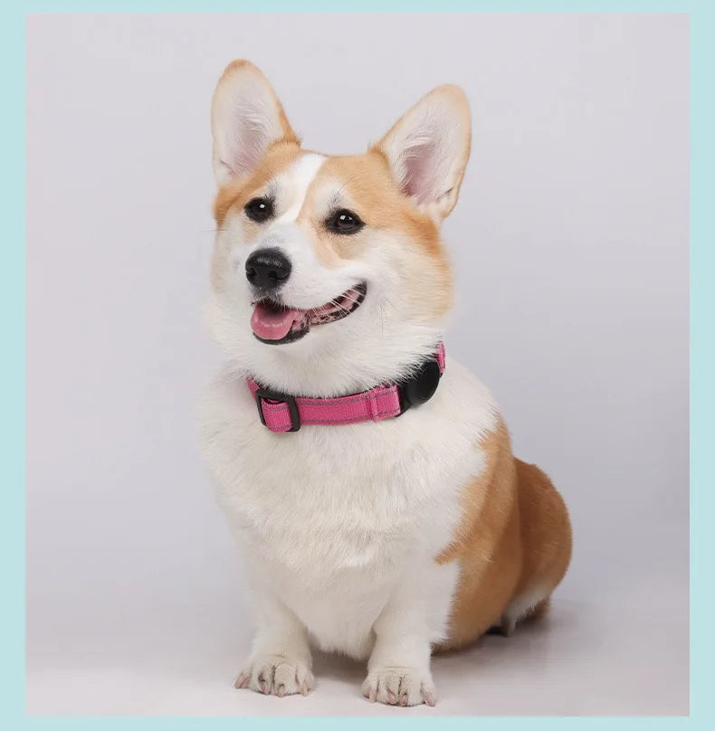 Reflective Dog Collar Adjustable Comfortable Pet Collars with Buckle for Medium Dogs AirTag Dog Collar
