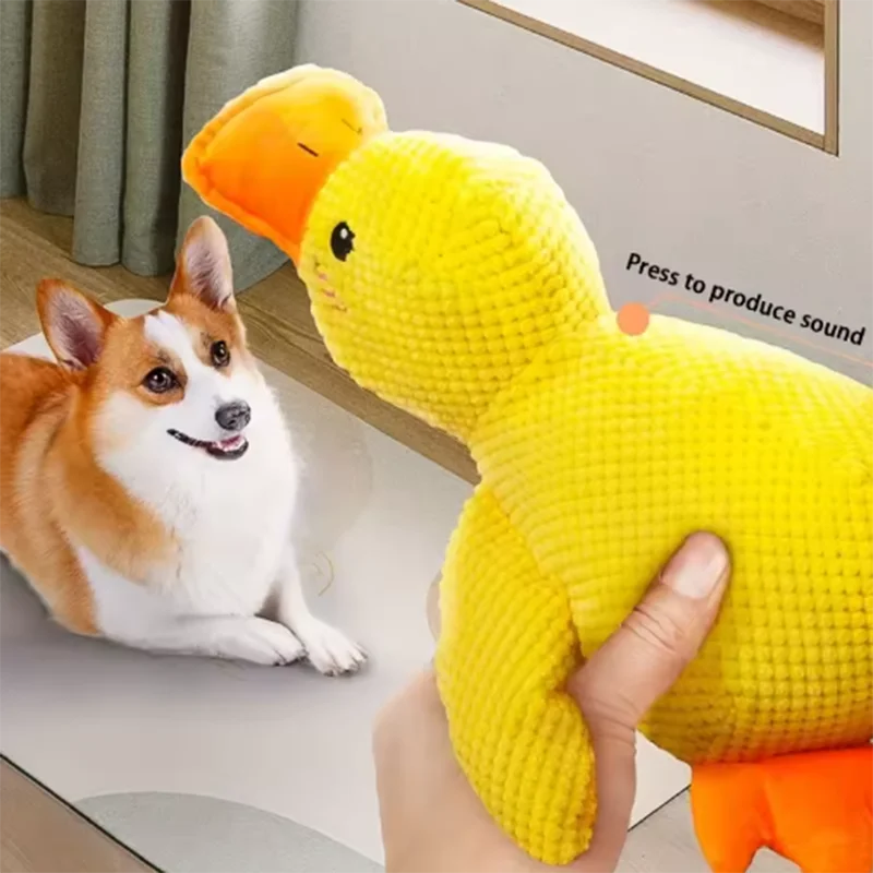 Stomping Duck Dog Toy 🦆🐶✨