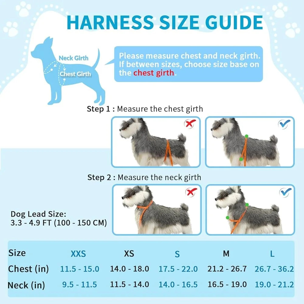 Soft Padded Dog Harness Leash Set Adjustable Reflective Vest Small Dogs Quick Fit Neck Chest Safe Walking 4ft Leash