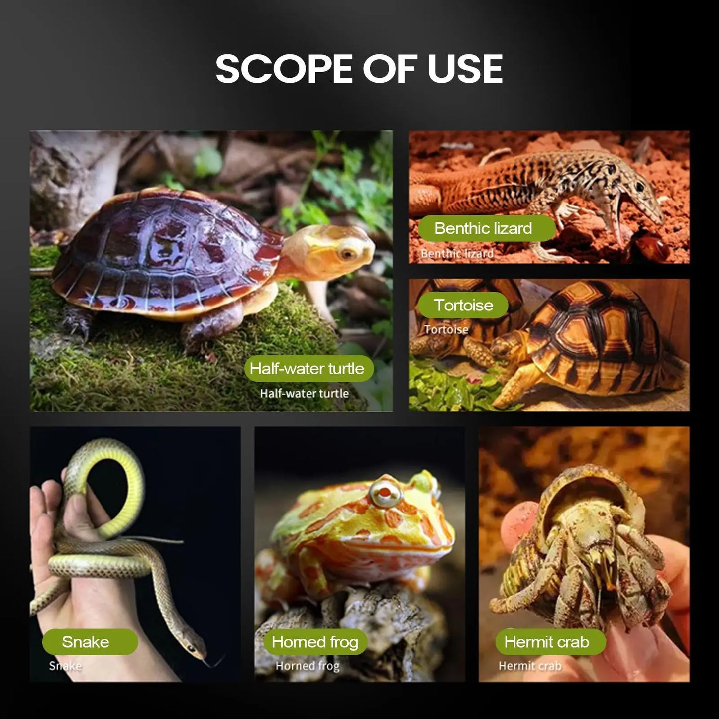 Spider Enclosure Transparent Reptile Terrarium Tank Habitat with Ventilation for Tarantula Gecko Snake Frog Scorpion Lizard