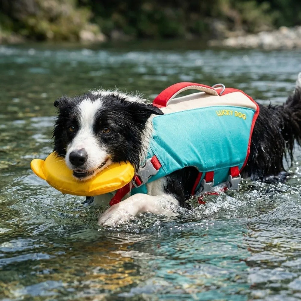 Strong Buoyancy Dog Life Jacket Adjustable Breathable Dog Swimming Suit Quick Drying Waterproof Dog Life Preserver Boating