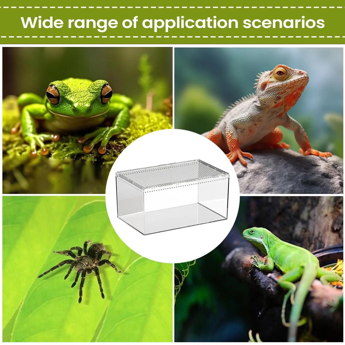 Spider Enclosure Transparent Reptile Terrarium Tank Habitat with Ventilation for Tarantula Gecko Snake Frog Scorpion Lizard