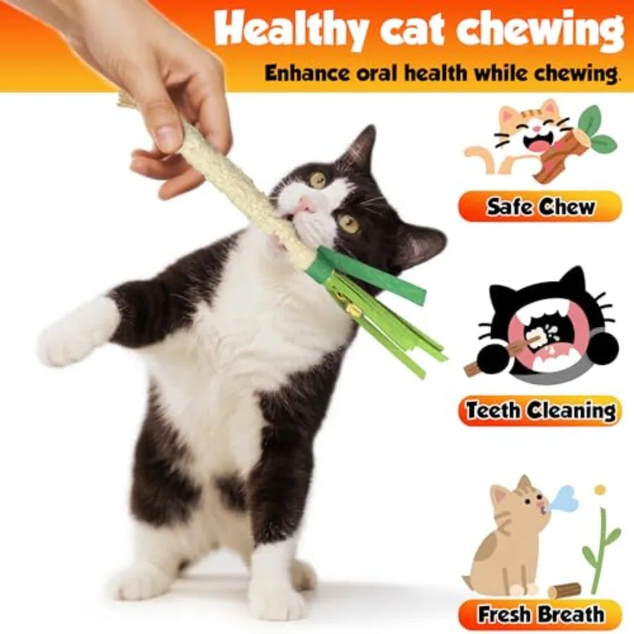Catnip Chew Stick 4PCS with Wrapped Cotton Rope tural Dental Care