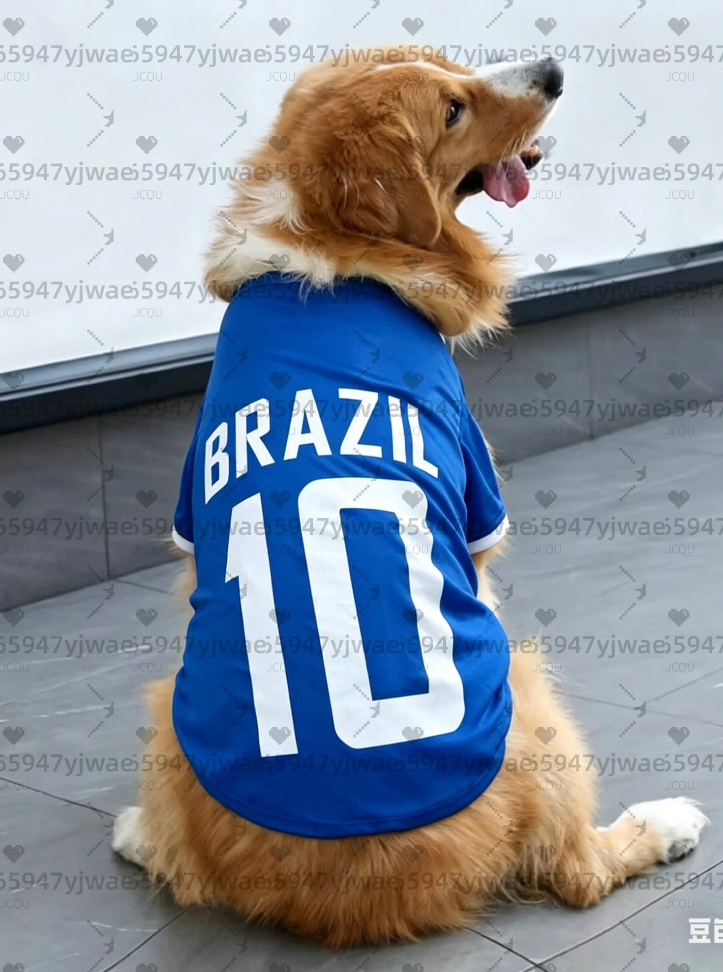 BRASIL NO.10 Pet Football Jersey ⚽🐶👕