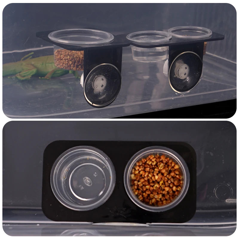 Reptiles & Amphibians Lizard Gecko Suction Cup Feed Bowls Food Container with Bowl for Reptile Food and Water Feeding