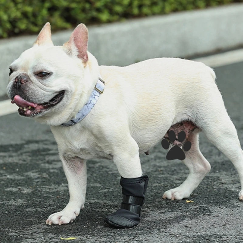 Dog Wound Recovery Boot for Post Surgical Recovery