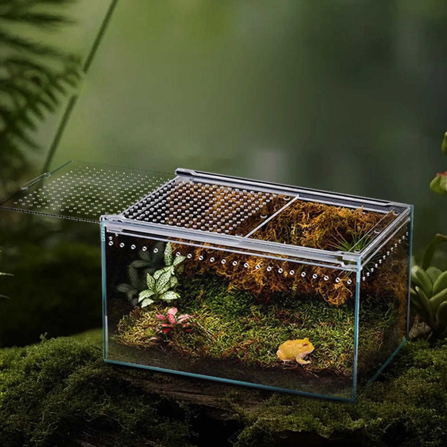 Spider Enclosure Transparent Reptile Terrarium Tank Habitat with Ventilation for Tarantula Gecko Snake Frog Scorpion Lizard