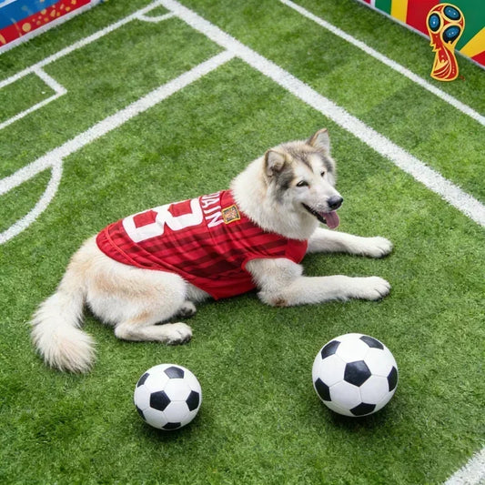 Soccer Pet Mesh Jersey 🐶⚽👕