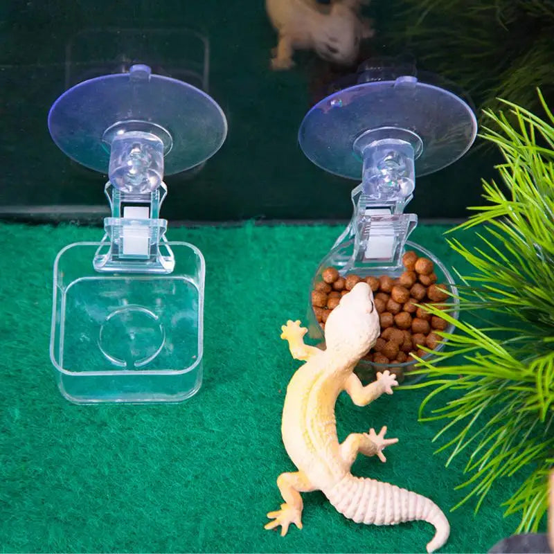 【E】Reptile Water Food Bowl Suction Cup Food Tray Gecko Reptile Lizards Spider Tree Frogs Feeder Habitat Decoration Pet Supplies