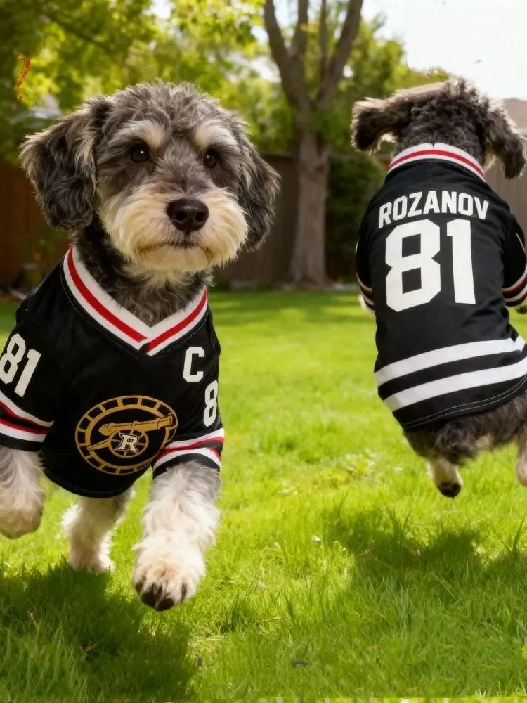 Hollander #24 Pet Jersey 🏒🐶🔥