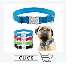 Personalized Dog Collar Dog Leather Padded Pet ID Collar Free Engraved Puppy Collars Reflective For Small Medium Large Dogs