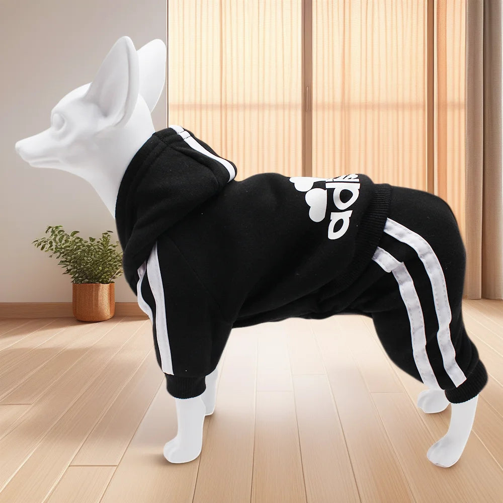 Adidog Dog Sports Jumpsuit 🐕👕✨