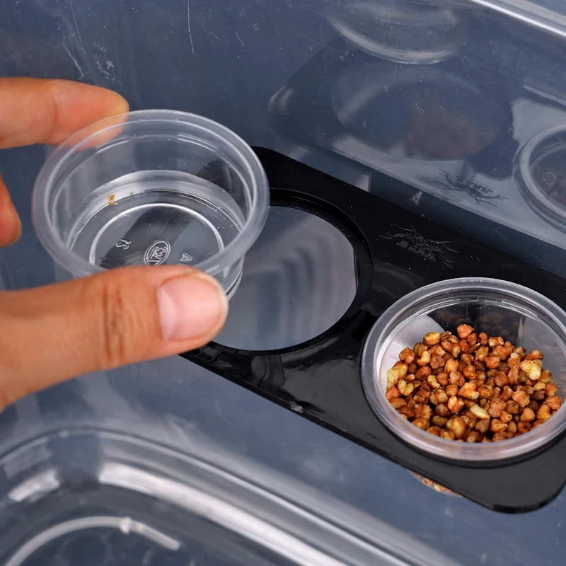 Reptiles & Amphibians Lizard Gecko Suction Cup Feed Bowls Food Container with Bowl for Reptile Food and Water Feeding